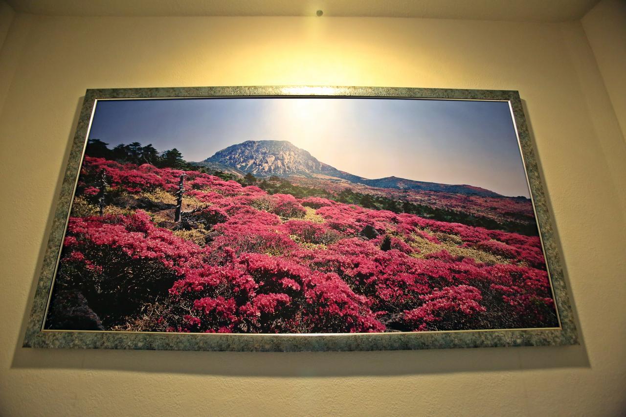 Champion Hotel Jeju Exterior photo